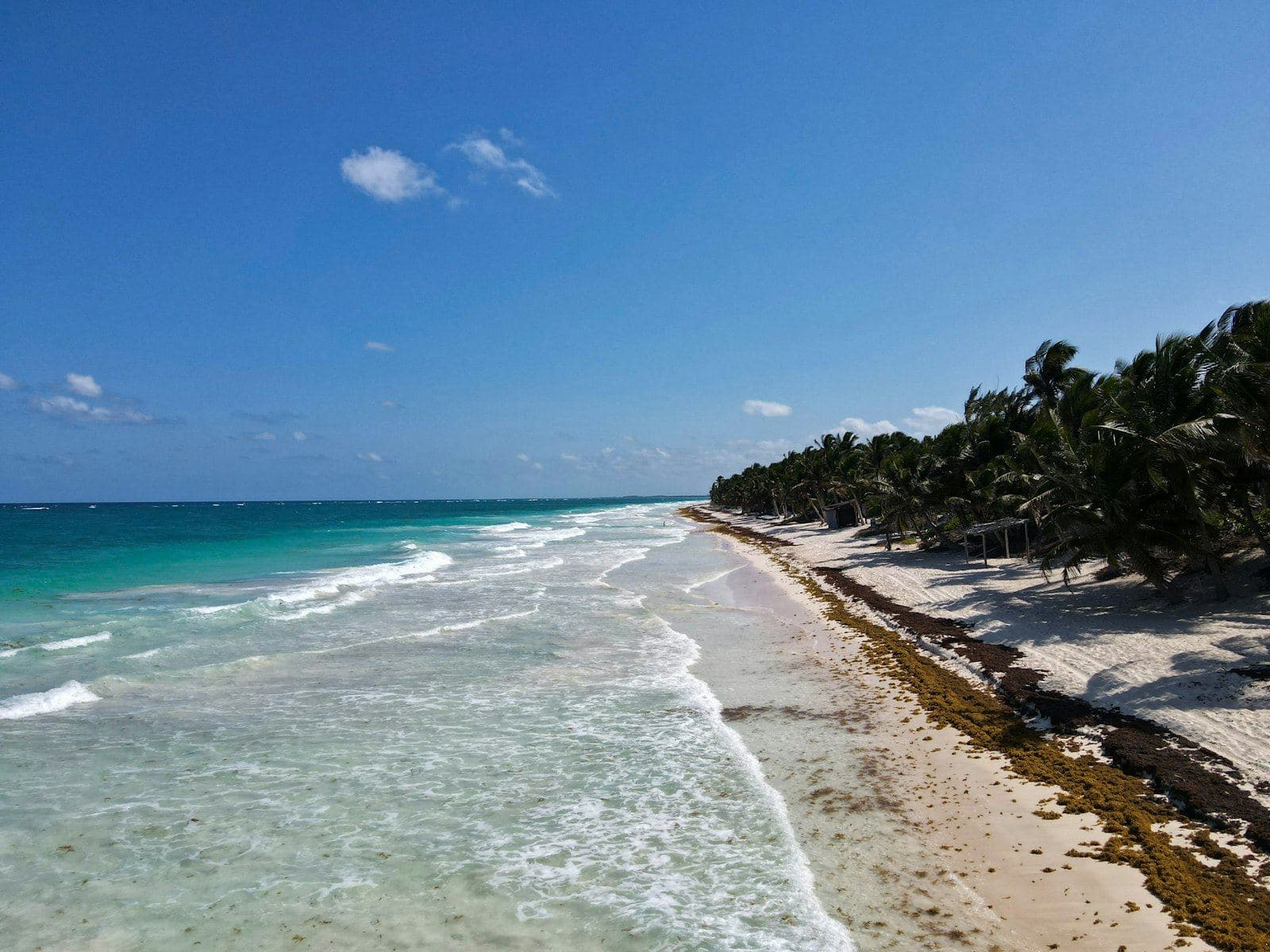 Playa de Tulum con palmeras y mar turquesa